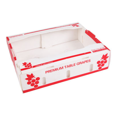 Hộp nhựa đục lỏng PP hộp đóng gói trái cây Corflute tùy chỉnh tái chế