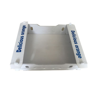 Hộp đóng gói trái cây bằng nhựa lợp bằng PP hộp Coroplast tùy chỉnh tái chế
