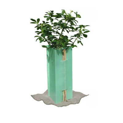 Polypropylene Corflute Tree Guard Lọc nhựa bảo vệ cây nho nhẹ