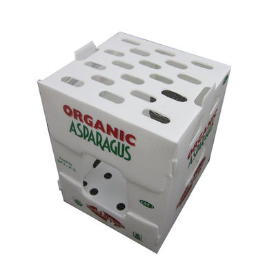 Hộp đóng gói rau polypropylene PP hộp nhựa lợp theo yêu cầu tái chế