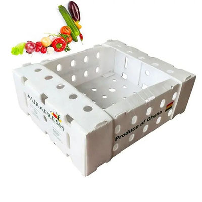 Hộp đóng gói trái cây Coroplast hộp bọc nhựa có thể tái chế