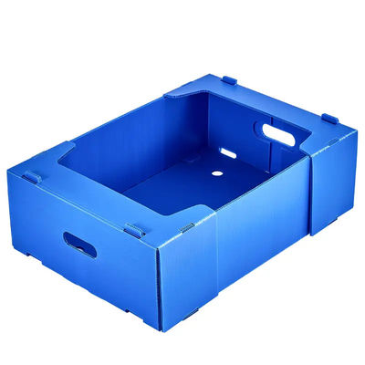 Hộp đóng gói trái cây Coroplast hộp bọc nhựa có thể tái chế