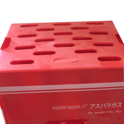Hộp đóng gói rau polypropylene PP hộp nhựa lợp theo yêu cầu tái chế