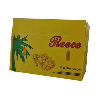 Hộp đóng gói trái cây Coroplast hộp bọc nhựa có thể tái chế