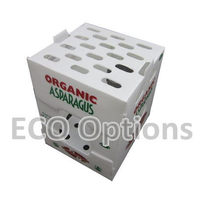 Phân chế hộp nhựa lốp PP hộp bao bì Coroplast tùy chỉnh ECO gấp