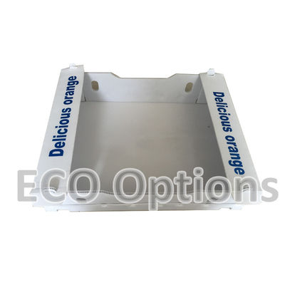 Phân chế hộp nhựa lốp PP hộp bao bì Coroplast tùy chỉnh ECO gấp