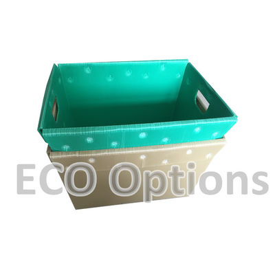 Phân chế hộp nhựa lốp PP hộp bao bì Coroplast tùy chỉnh ECO gấp