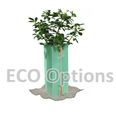 Phân chế PP bảo vệ cây bằng nhựa lồi lỏng bảo vệ cây khỏi bị gặm nhấm