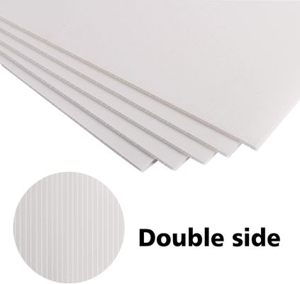 Giải phóng tiềm năng của tấm PP Coroplast trong bao bì và quảng cáo của bạn