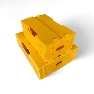 Hèn và chống va chạm hộp gỗ rỗng PP, được làm từ vật liệu tái chế. bền, tái sử dụng, và lý tưởng cho các giải pháp đóng gói thân thiện với môi trường.