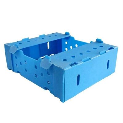 hộp đóng gói rau củ quả có khả năng chống gấp, chống lão hóa, chịu lực, chống kéo giãn, chống nén, chống rách, chịu nhiệt độ cao, nhiều màu sắc